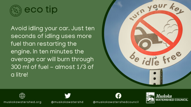 Avoid idling your car. Just ten seconds of idling uses more fuel than restarting the engine. In ten minutes the average car will burn through 300 ml of fuel - almost 1/3 of a litre!