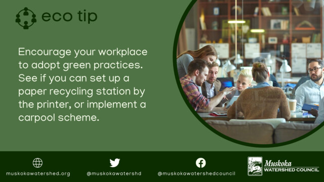 Encourage your workplace to adopt green practices. See if you can set up a paper recycling station by the printer, or implement a carpool scheme.