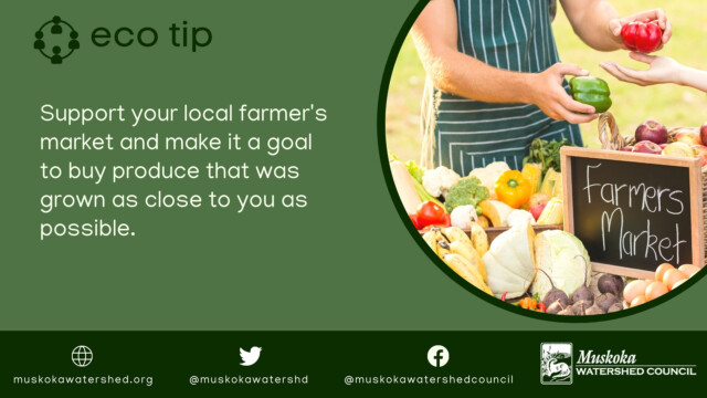 Support your local farmer's market and make it a goal to buy produce that was grown as close to you as possible.