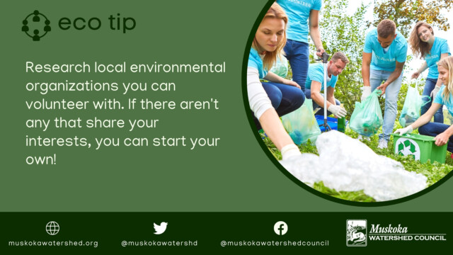 Research local environmental organizations you can volunteer with. If there aren't any that share your interests, you can start your own!