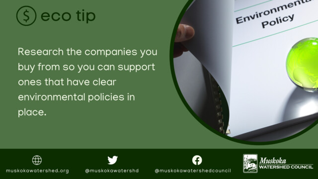 Research the companies you buy from so you can support ones that have clear environmental policies in place.