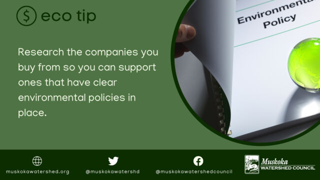 Research the companies you buy from so you can support ones that have clear environmental policies in place.