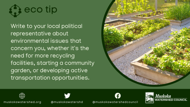 Write to your local political representative about environmental issues that concern you, whether it's the need for more recycling facilities, starting a community garden, or developing active transportation opportunities.