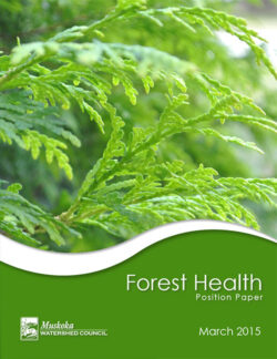 Forest Health Position Paper (2015)