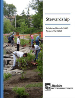 Stewardship (2015)