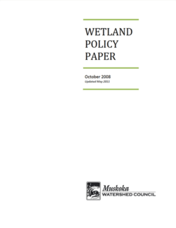 Wetland Policy Paper (2011)